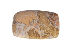 Agat koralowy 38,9x26,1 11,3g. 23