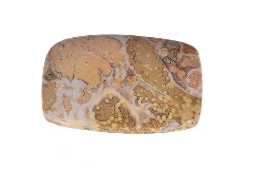 Agat koralowy 38,9x26,1 11,3g. 23