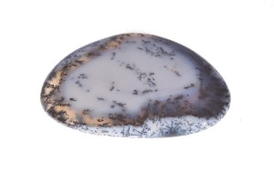 Agat Dendrytowy 61,8x39,6 24,1g 8.
