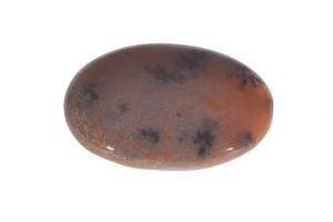 Agat Dendrytowy 35,8x24 10,3g 14.