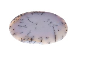 Agat Dendrytowy 51,8x33,2 17,3g 9.
