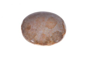 Jeżowiec 32,8x28,2 10,5g 6.