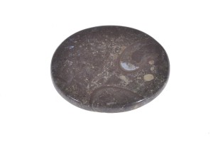 Czarna Skamielina 49,9x40,7 21,7g 15.
