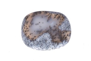 Agat Dendrytowy 40,8x36 16,8g 9.