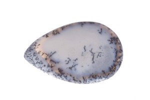 Agat Dendrytowy 48,7x35,1 12,9g 8.