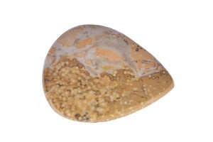 Agat koralowy 36,8x30,5 9g. 23