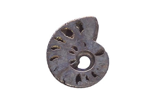 Amonit z pirytem 19x15,3 2,5g. 22